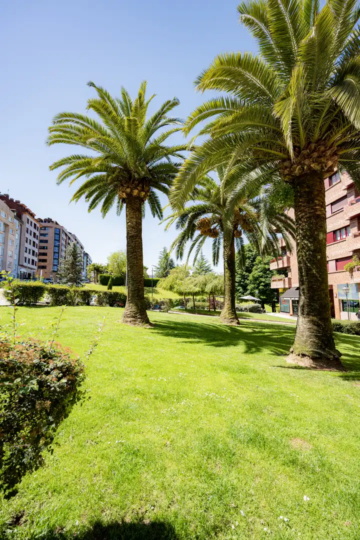 Piso con ascensor en venta en Oviedo - FRATERNIDAD 10, imagen 17