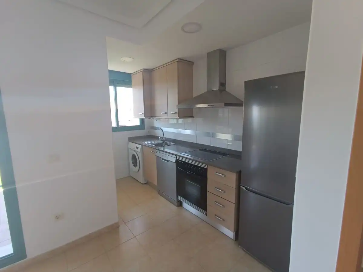 Kitchen of Apartments for rent in Playa