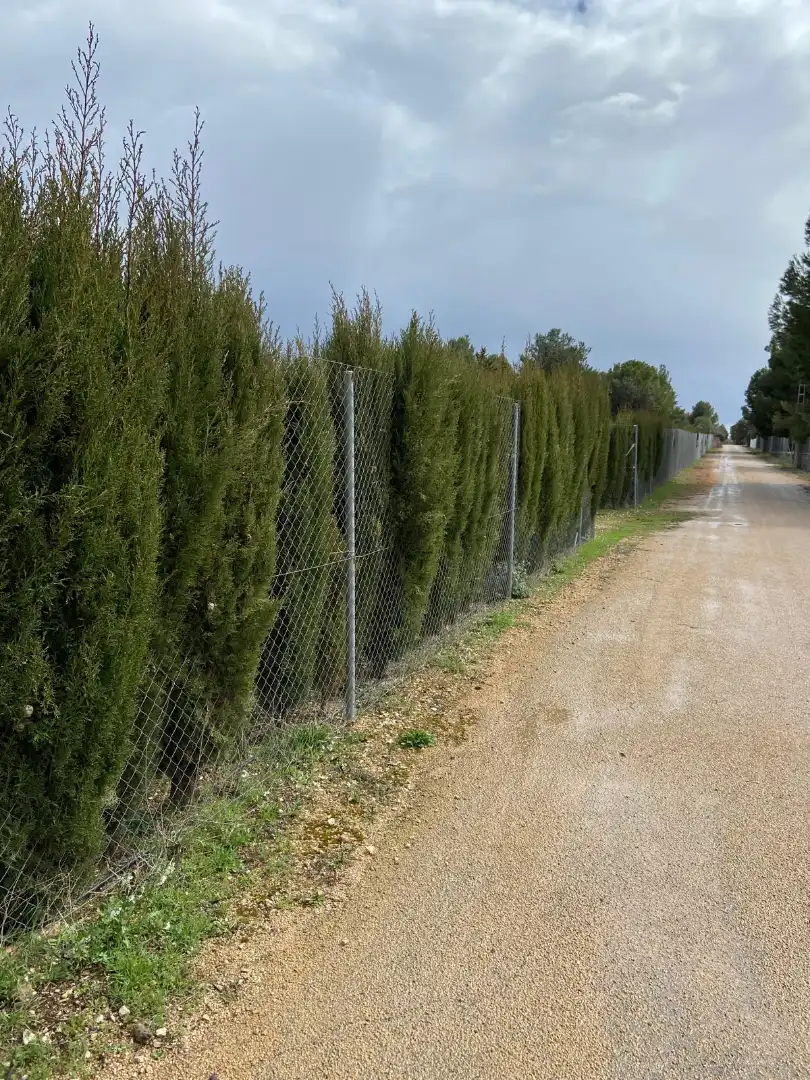 Rustikales Grundstück zum Verkauf in Pedanías - Extrarradio, imagen 2