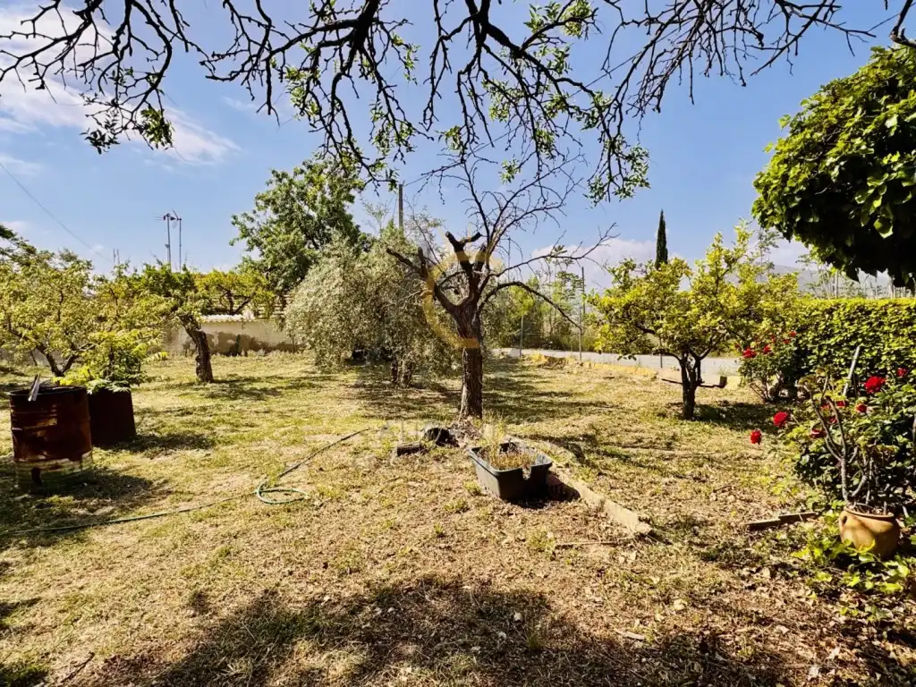 Casa rústica en venta en Partida Alcana De, imagen 7