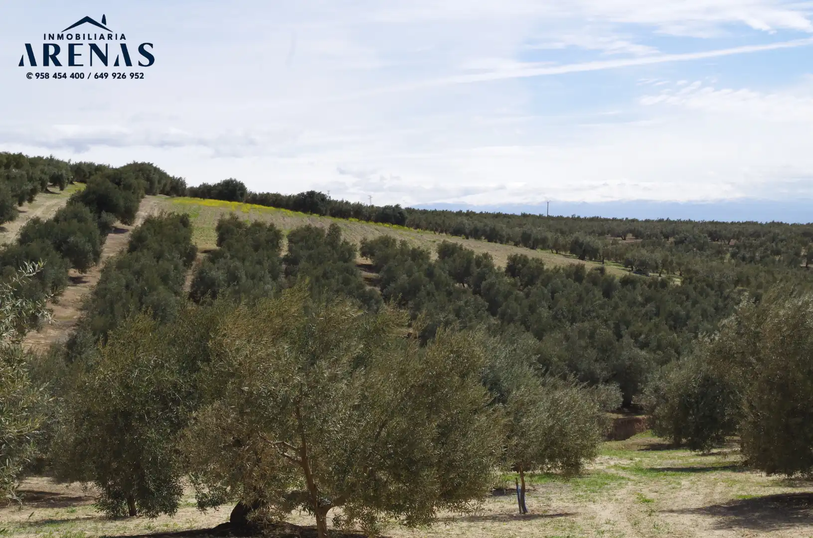 Residential land for sale in Íllora, imagen 6
