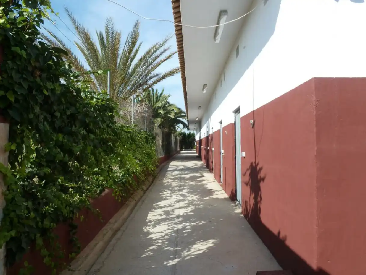 Maison rustique à vendre à San Miguel de Salinas, imagen 11