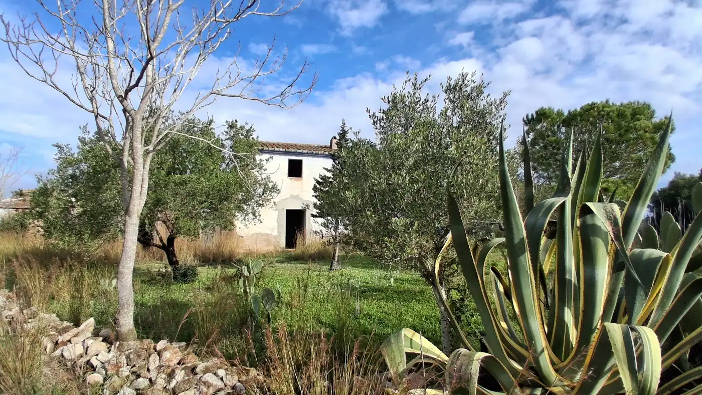 Jardín de Finca rústica en venta en L'Ampolla