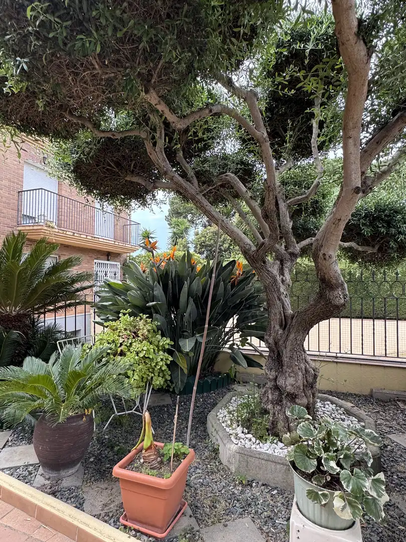 Haus zum Verkauf in Sant Vicenç platja, imagen 7