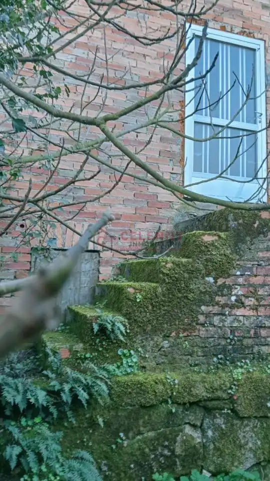 Casa amb jardí en venda a O Pereiro de Aguiar, imagen 4