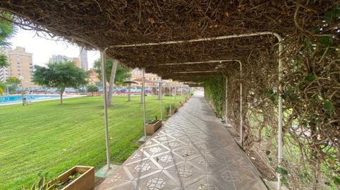 Foto 4 de Pis en venda a Juzgados - Plaza de Toros, Benidorm