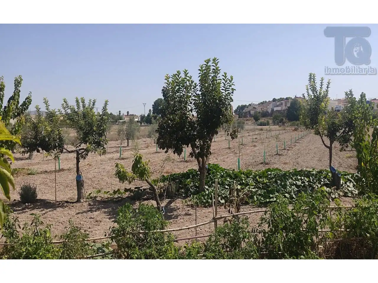 Finca rústica en venta en Albatana con Jardín privado y Terraza