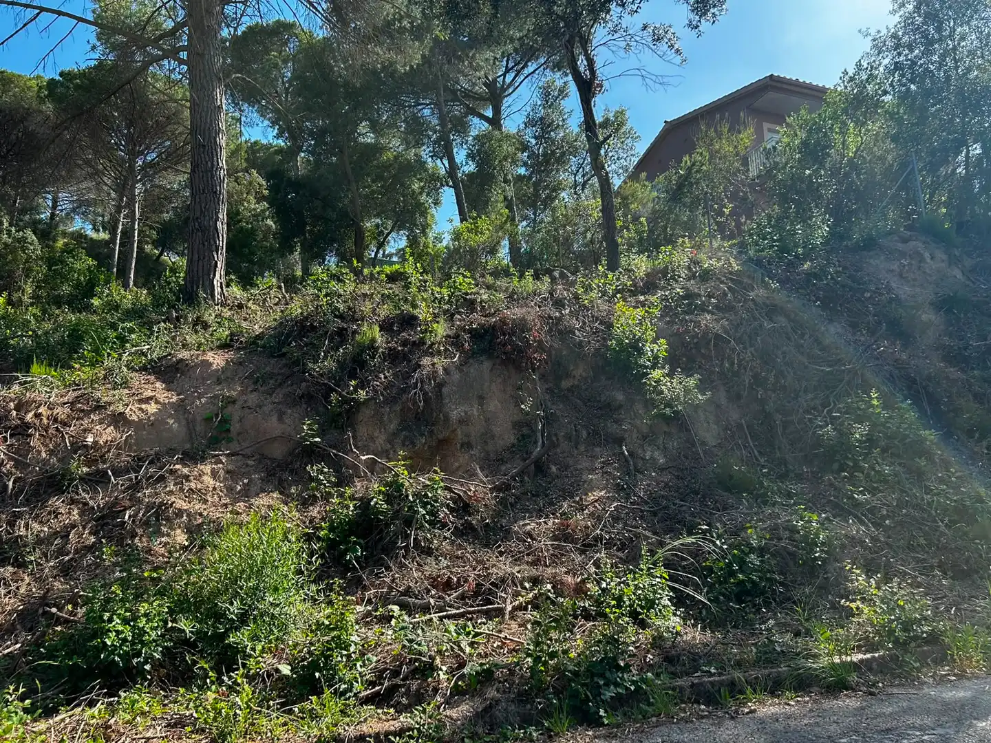 Wohnbaugrundstück zum Verkauf in Lloret Residencial - Montlloret, imagen 7