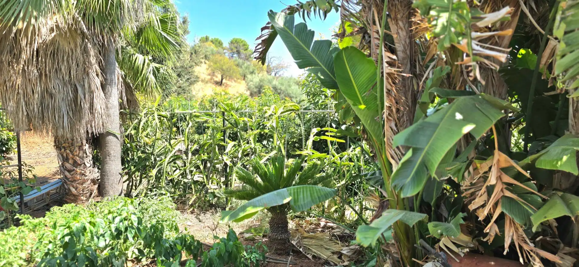 Jardí de Casa o xalet en venda en Guaro amb Aire condicionat, Jardí privat i Moblat