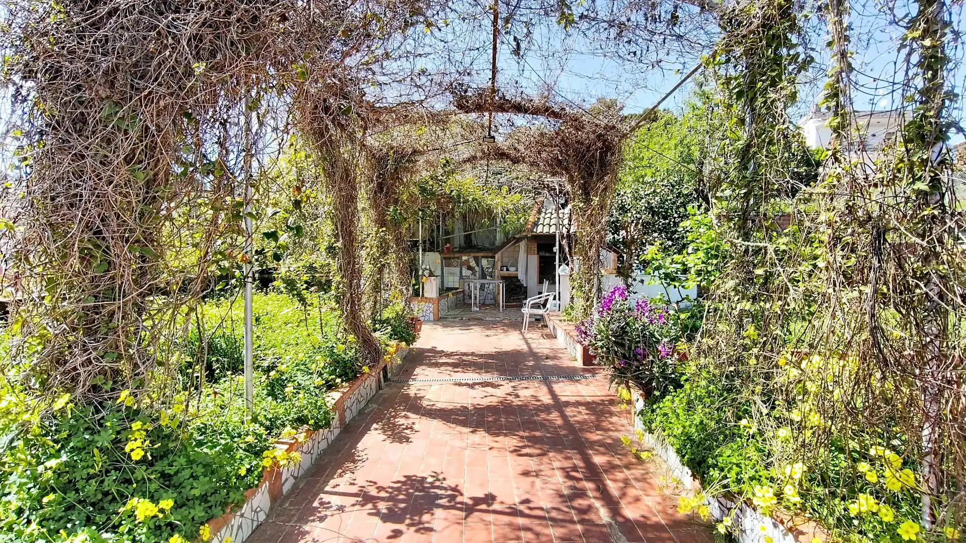 Jardí de Casa o xalet en venda en Olesa de Montserrat amb Aire condicionat, Terrassa i Piscina