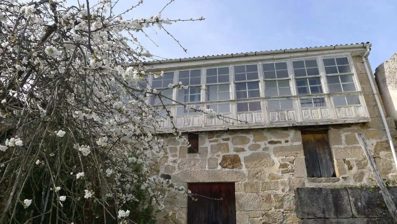 House for sale in Ribadavia, imagen 6