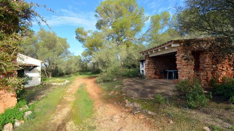 Foto 5 de Finca rústica en venta en Sa Casa Blanca, Palma de Mallorca