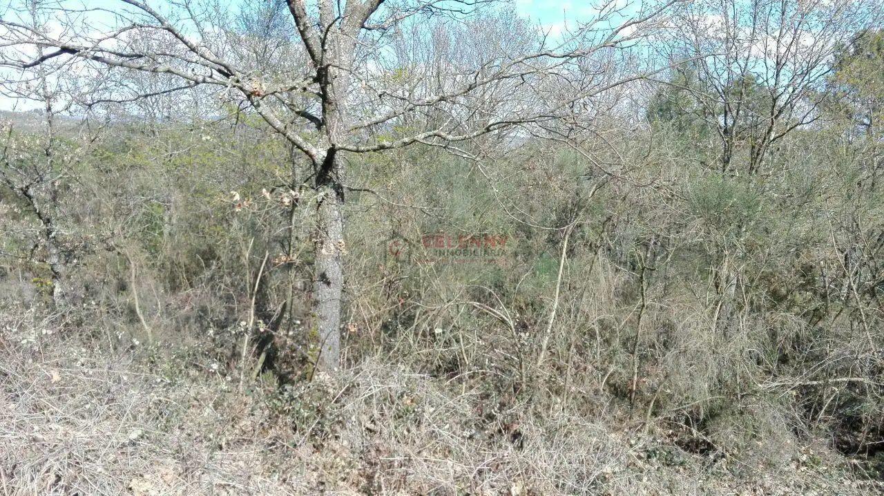 Terrenos y solares en venta en O Pereiro de Aguiar