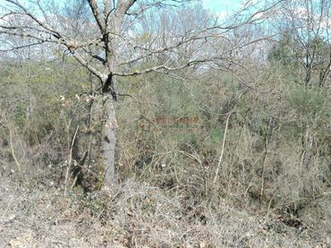 Rustikales Grundstück zum Verkauf in O Pereiro de Aguiar