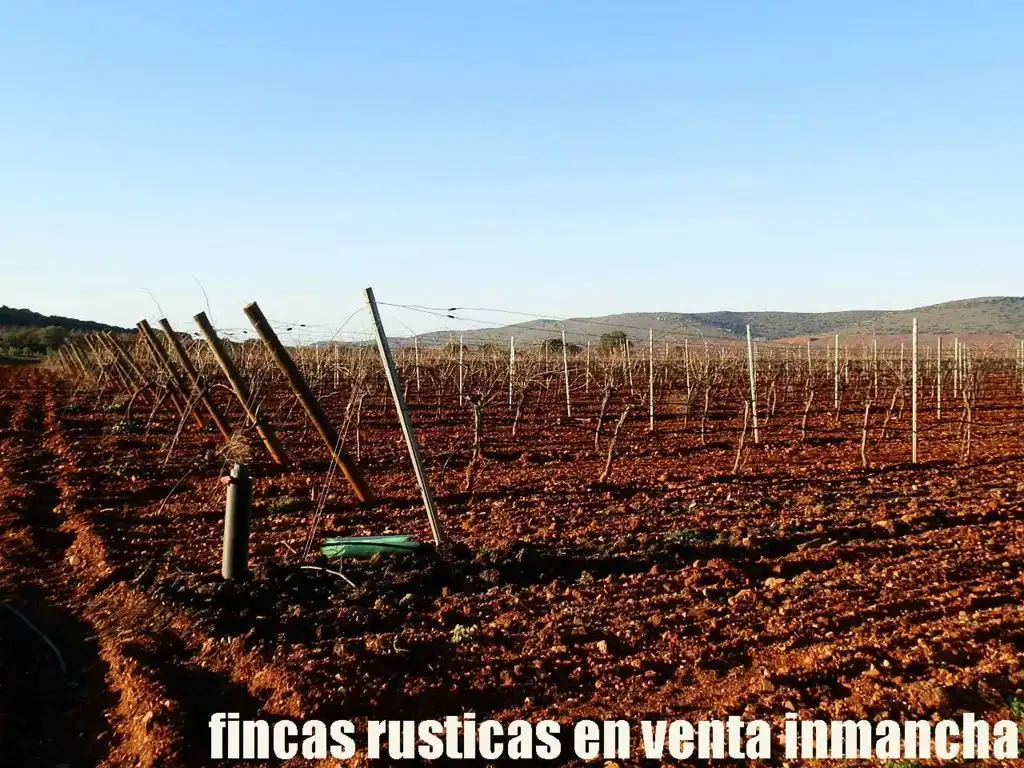 Terreno rústico en venta en Moral de Calatrava, imagen 11
