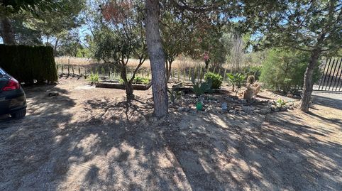 Foto 3 de Finca rústica en venda a Partida las Tiesas, Las Tiesas, Villena