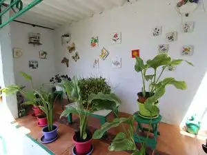 Finca rústica en venda en Santa María de Guía de Gran Canaria amb Jardí privat, Terrassa i Traster