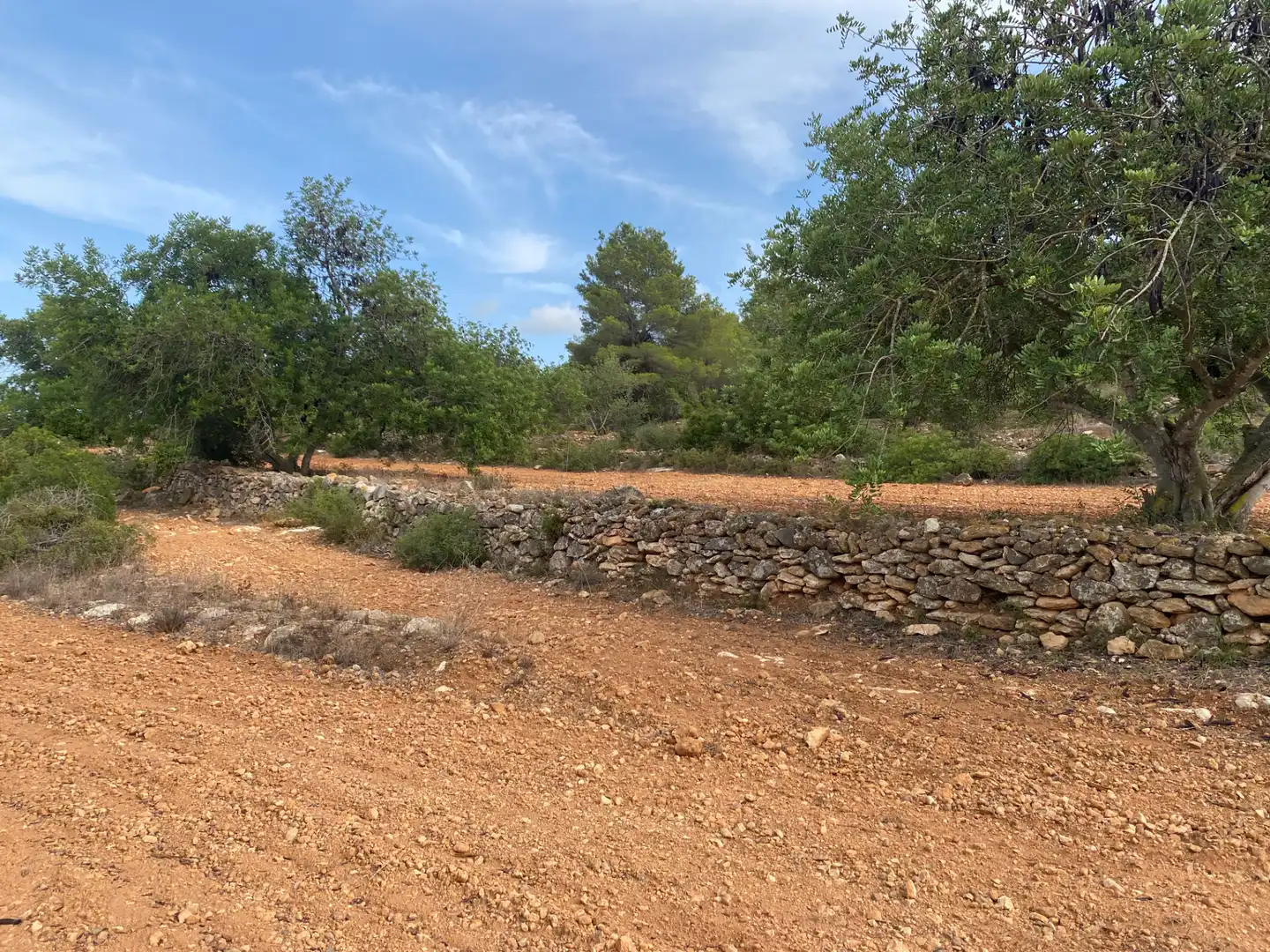 Terrain rustique à vendre à Carrer Camí de Montferri, imagen 18
