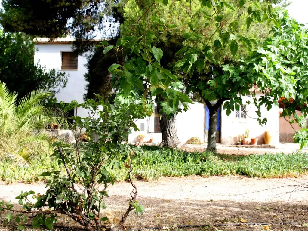 Villa mit Pool zum Verkauf in Monforte del Cid, imagen 3