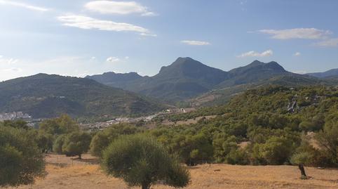 Foto 4 de Finca rústica en venda a Ubrique, Cádiz