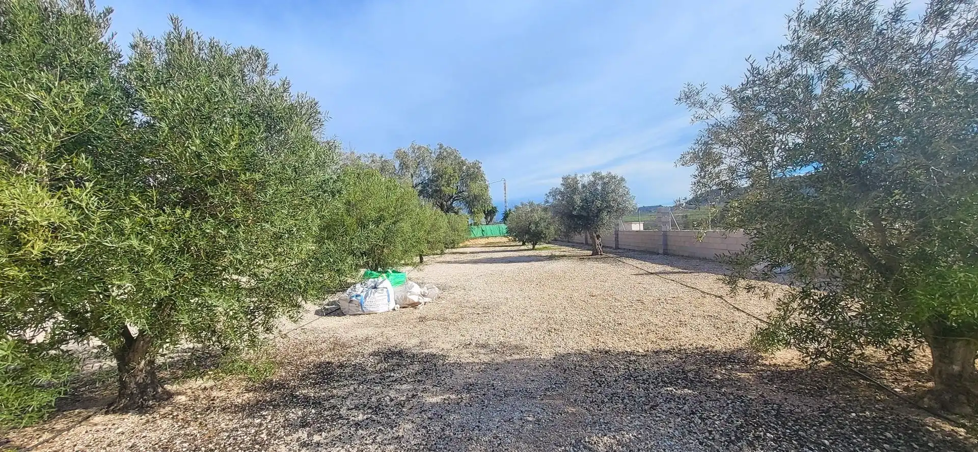 Casa rustica in vendita a Monóvar  / Monòver, imagen 5