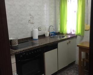 Kitchen of Flat to rent in Mieres (Asturias)