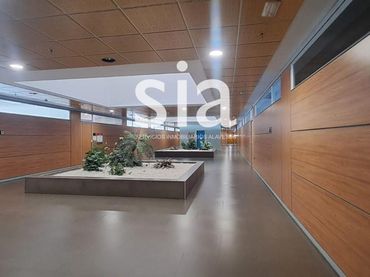 Ufficio con ascensore in affitto a Bruselas