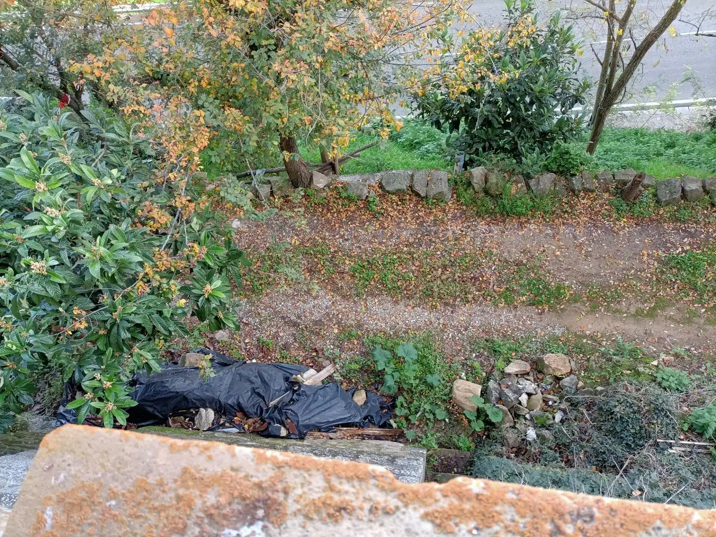 Jardín de Finca rústica en venta en Codo