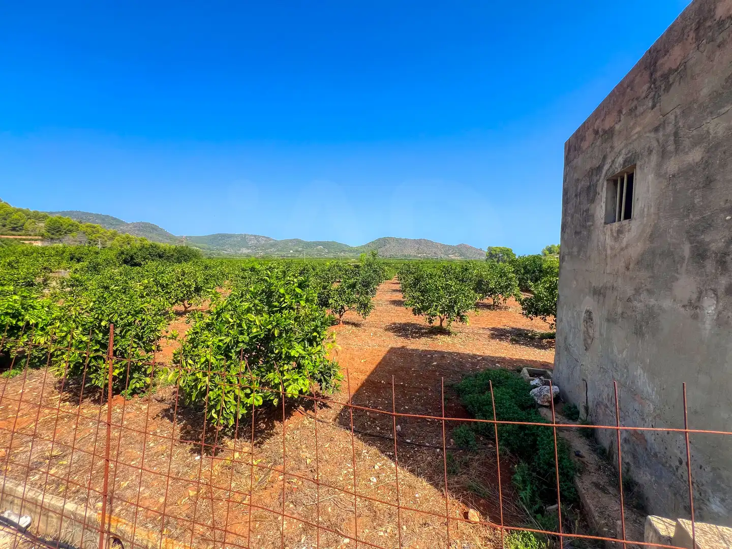 House for sale in Oliva pueblo, imagen 28