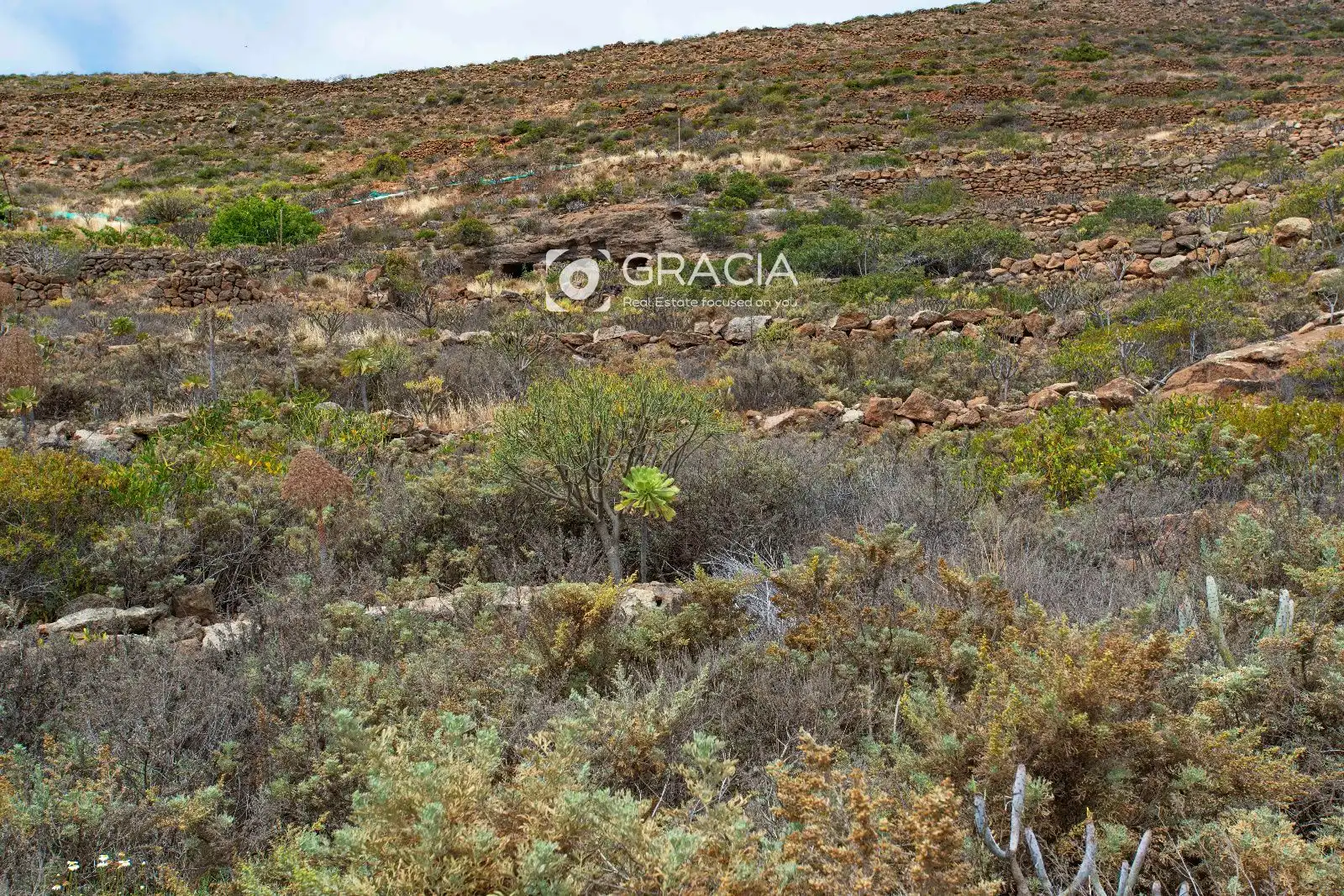 Terreno rustico in vendita a tf629, imagen 9