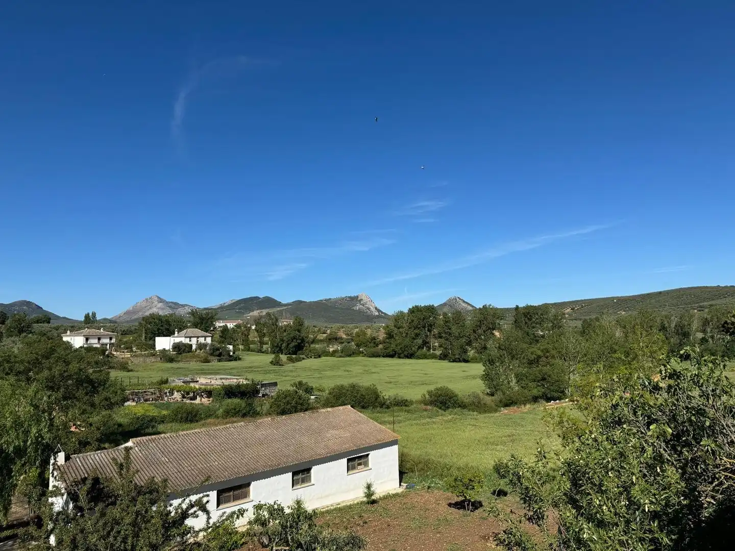 Vista exterior de Casa o xalet en venda en Villanueva del Rosario amb Aire condicionat, Jardí privat i Terrassa