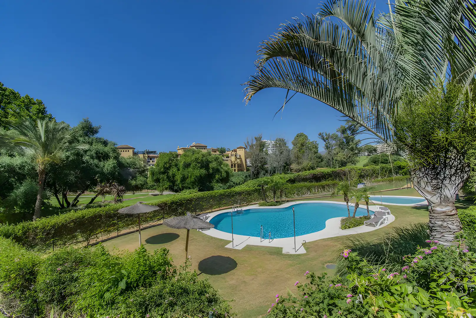Apartament amb piscina en venda a San Pedro de Alcántara, imagen 8