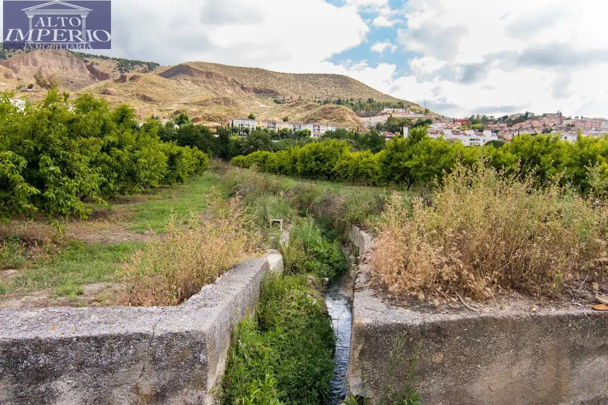 Vista exterior de Finca rústica en venta en Granada