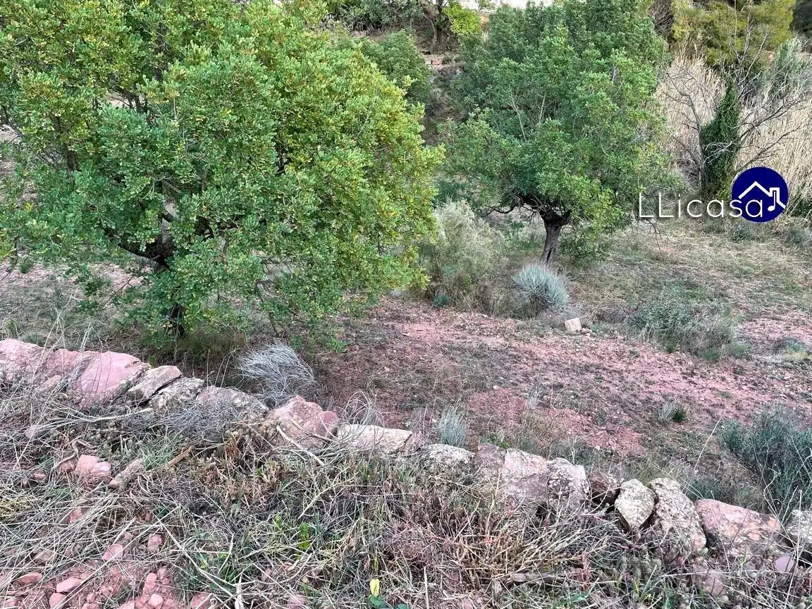 Terreny residencial en venda a Olocau, imagen 14