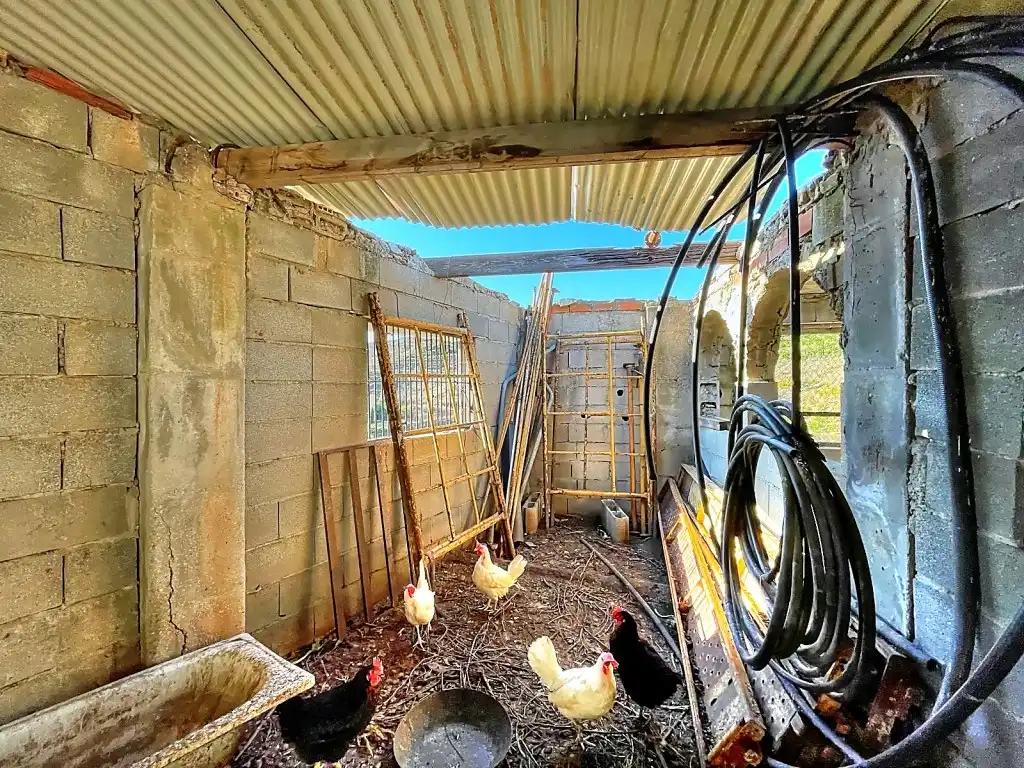 Vista exterior de Finca rústica en venta en Macharaviaya con Jardín privado, Terraza y Amueblado