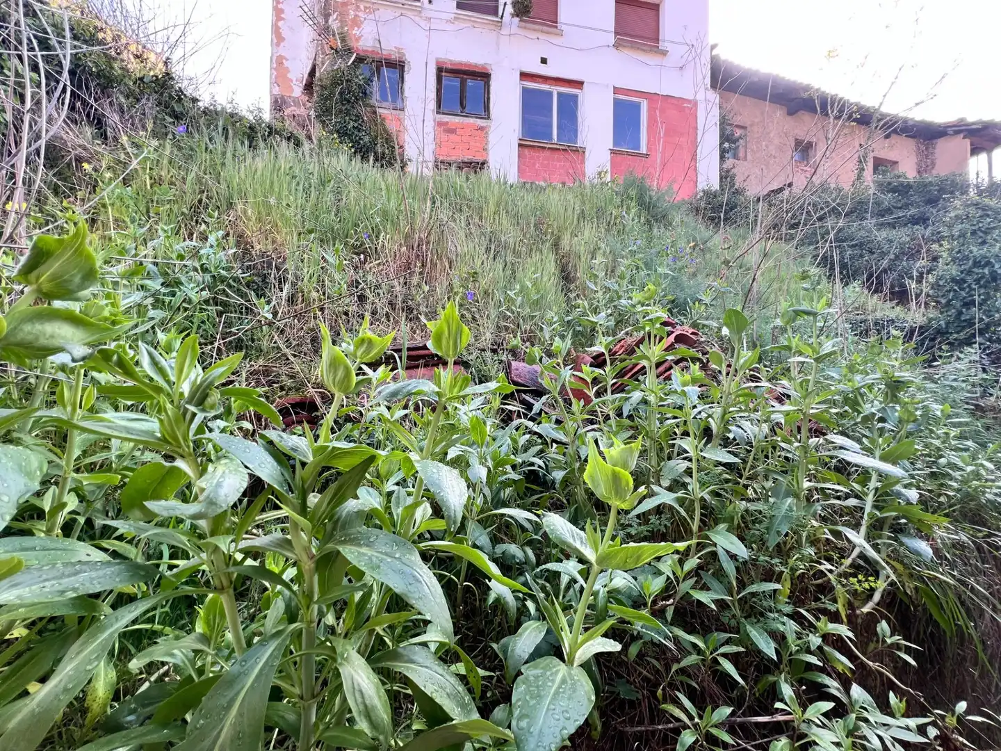 Haus zum Verkauf in Quirós, imagen 6