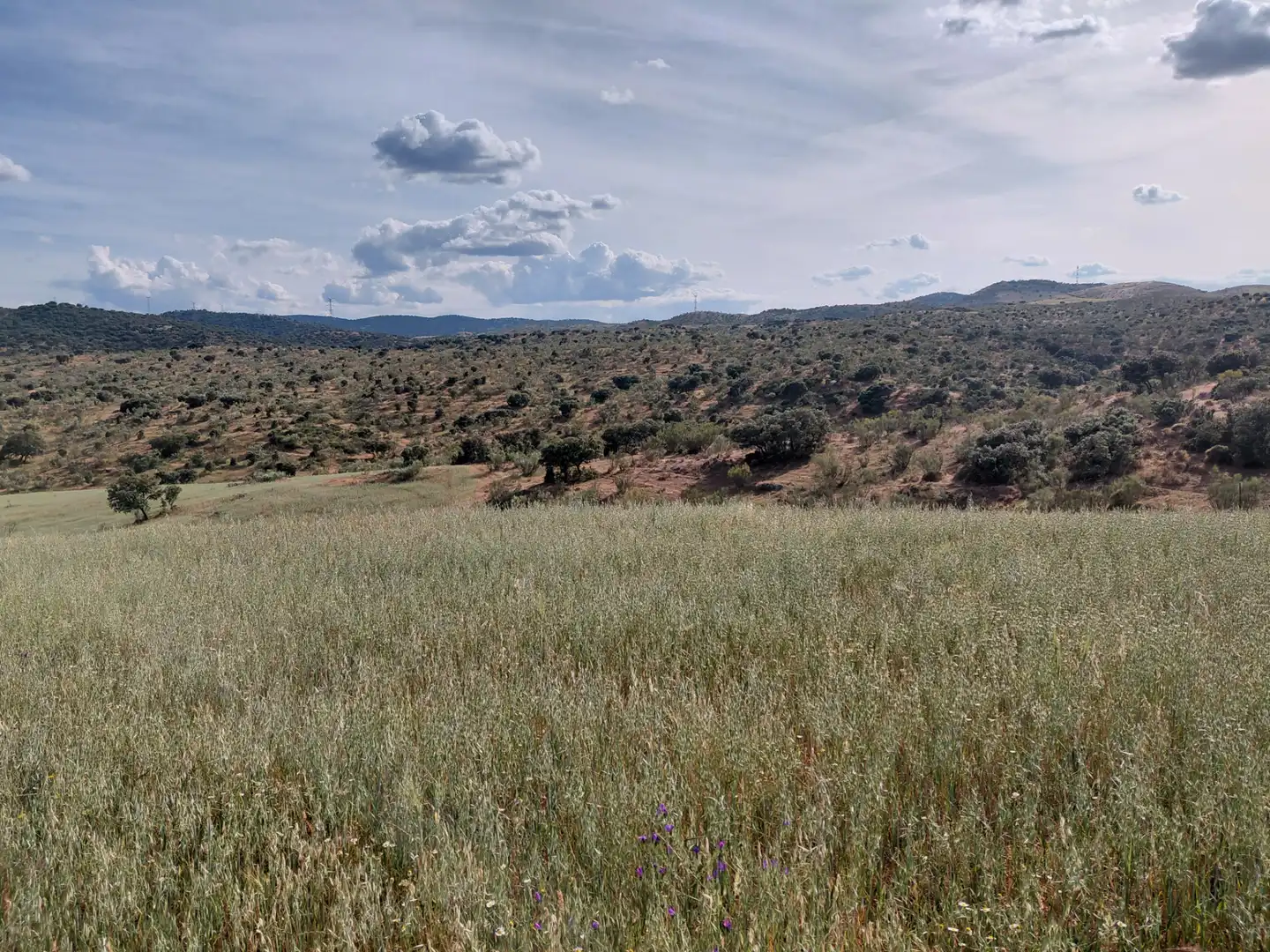 Finca rústica en venda en Fuente de Cantos amb Jardí privat, Forn i Rentadora