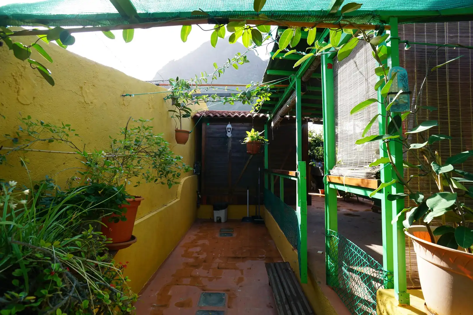Jardí de Casa adosada en venda en Los Silos amb Terrassa i Traster