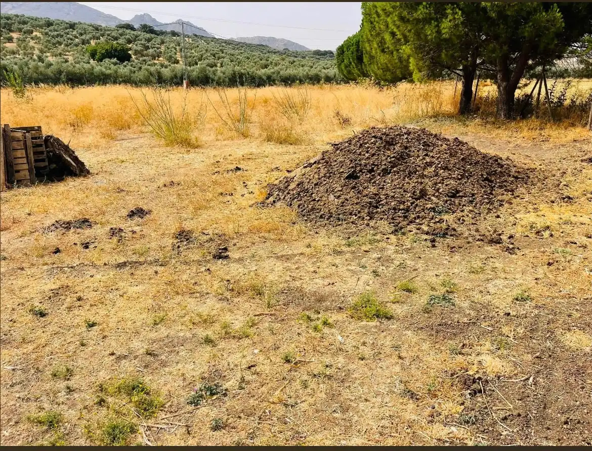 Terreni e lotti in vendita a Bobadilla - Bobadilla Estación - La Joya, imagen 19
