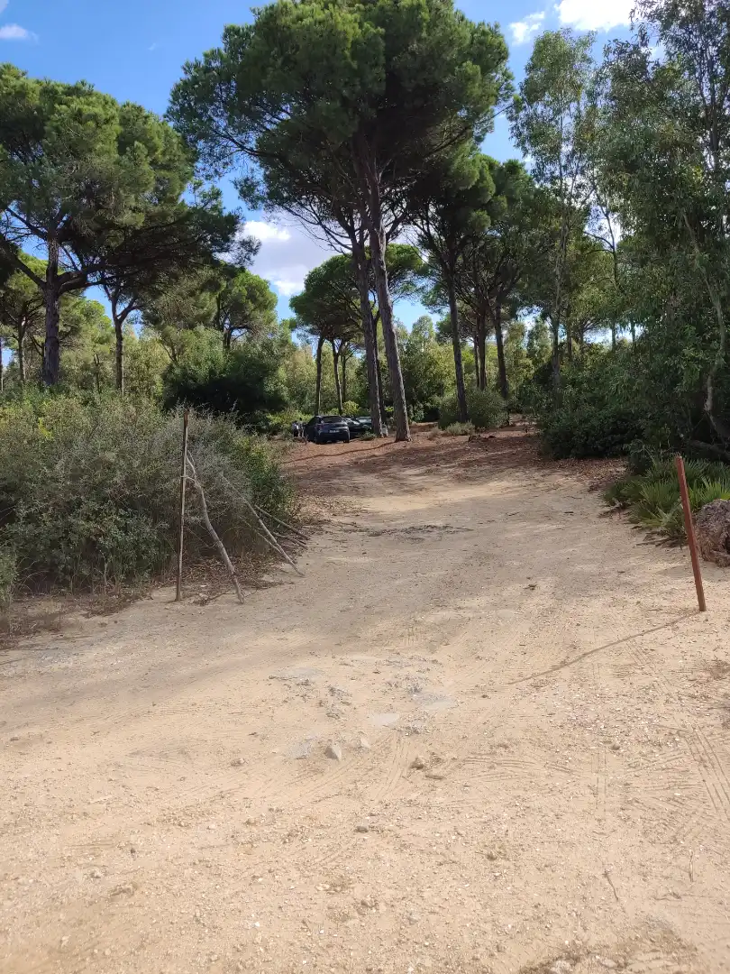 Terreni e lotti in vendita a Las Lagunas - Campano, imagen 2