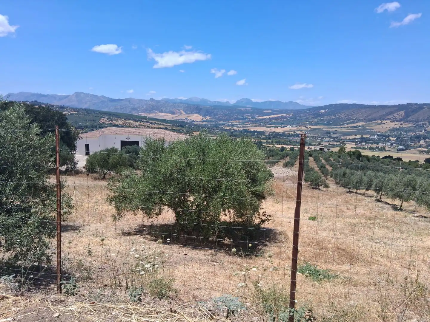 Terreny industrial en venda en Ronda