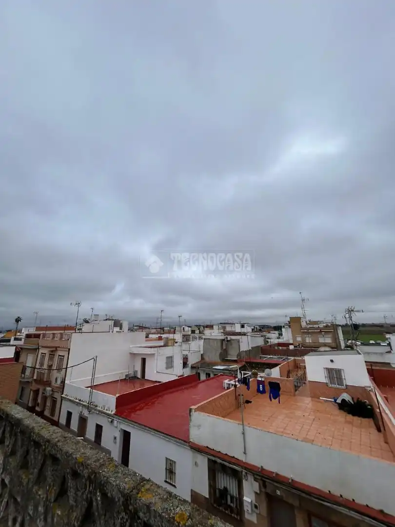 Exterior view of Houses for sale in Sevilla