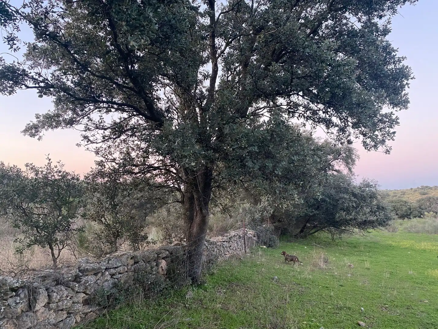 Terreni e lotti in vendita a Villar del Pedroso, imagen 40