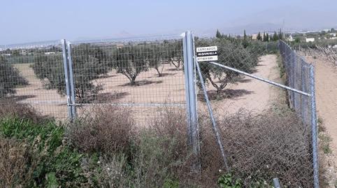 Foto 4 de Casa o xalet en venda a Camino de la Noria de Sargueta, Pedanías Este, Aspe