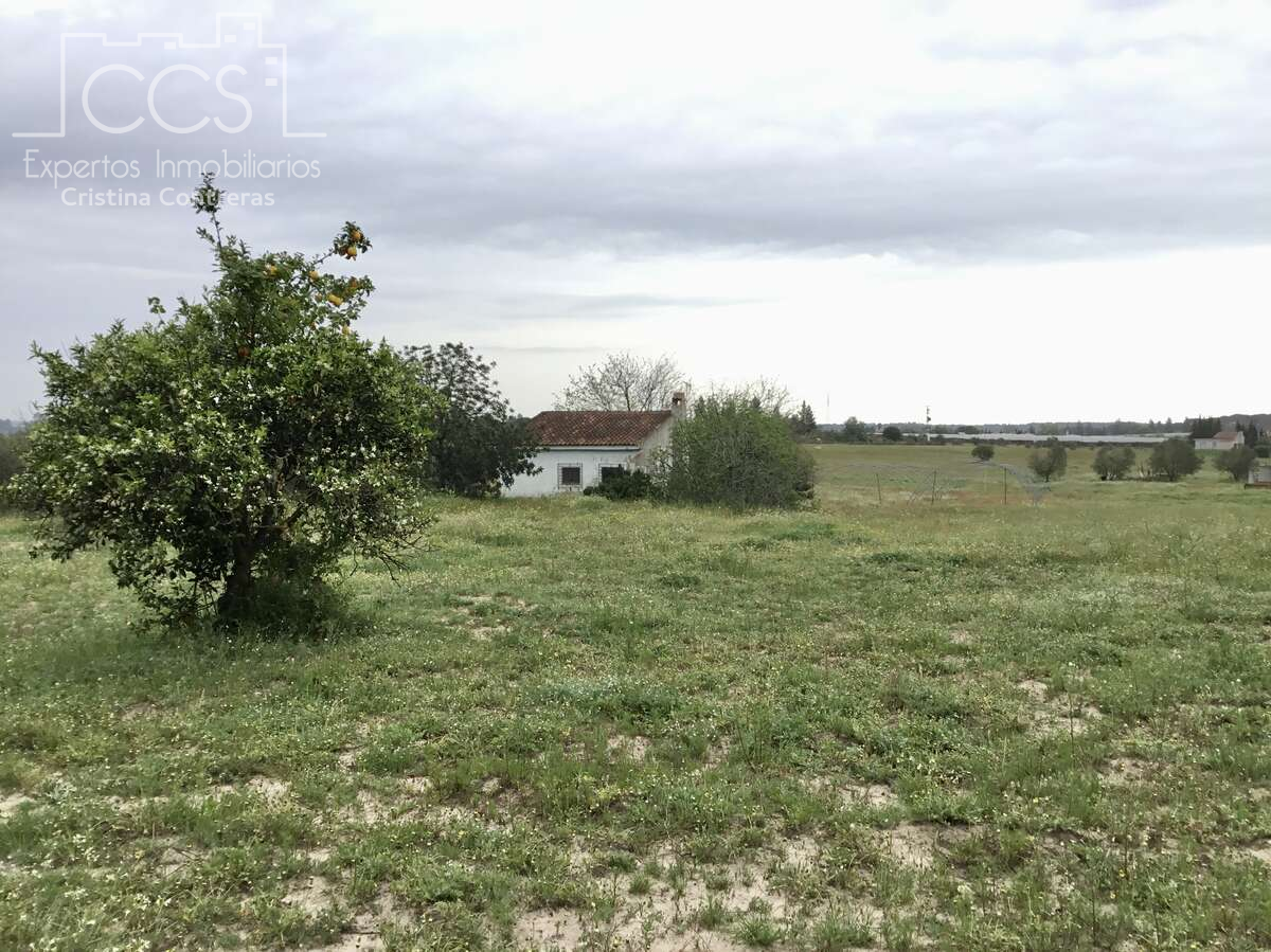 Finca rústica en venta en Almonte