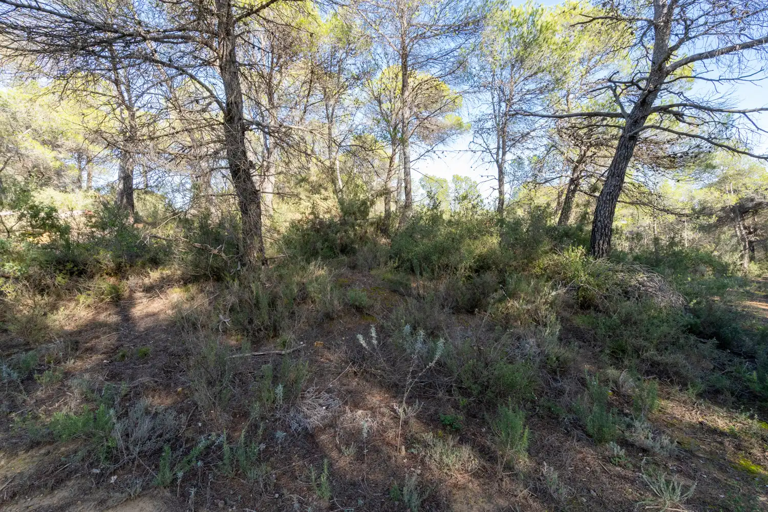 Terreni e lotti in vendita a Arens de Lledó, imagen 6