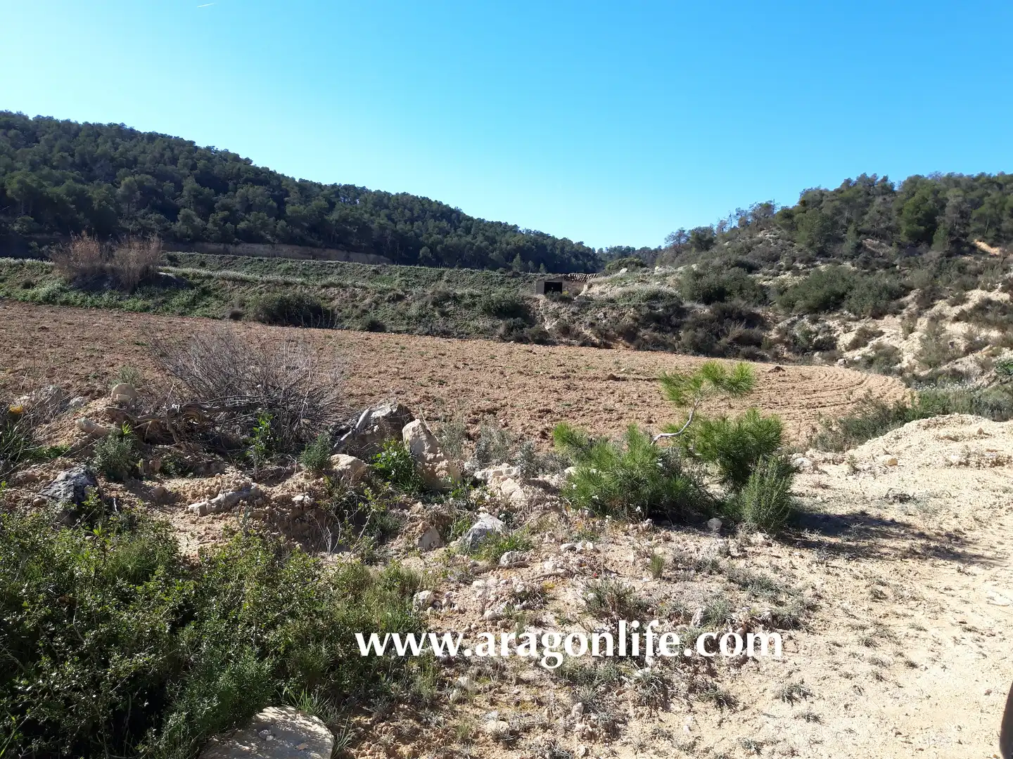 Finca rústica en venta en Nonaspe