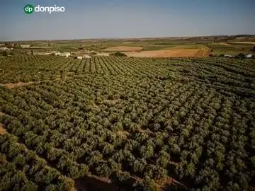 Casa amb piscina en venda a Vereda EXTRARRADIO, imagen 37