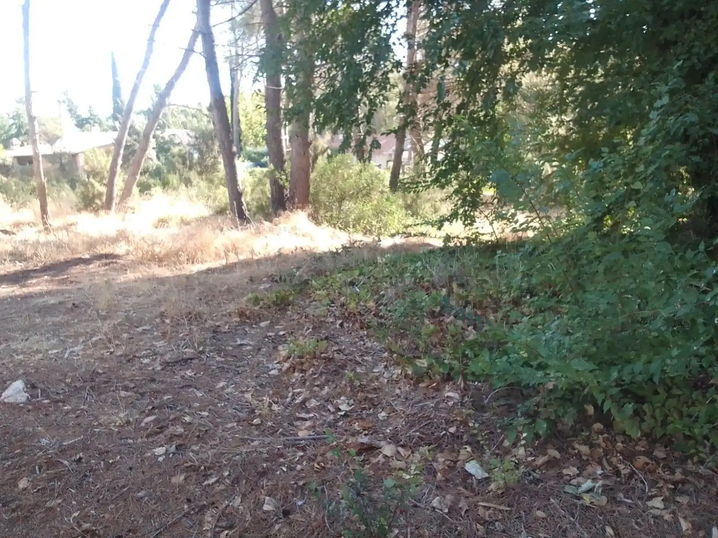 Residential land for sale in Urbanizacion NUEVA SIERRA BT, imagen 3