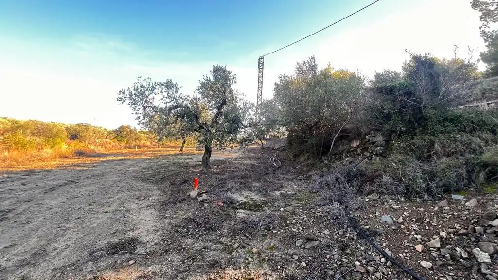 Terreny rústic en venda a Carrer del Dimecres, imagen 25